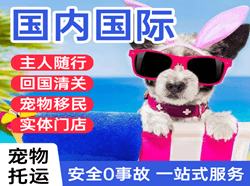 天吉泰航空物流国际宠物托运 【国